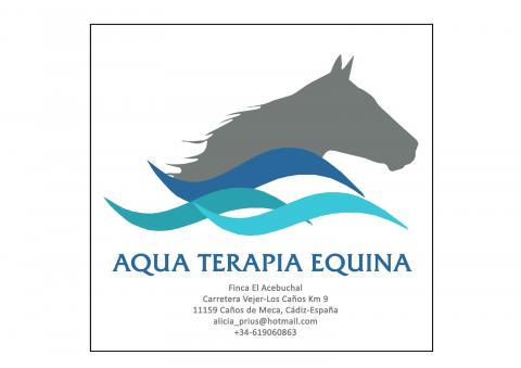 Imagen de Aquaterapia Equina